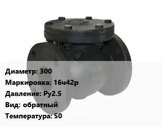 Клапан чугунный 300 16ч42р Ру2.5 обратный 50
